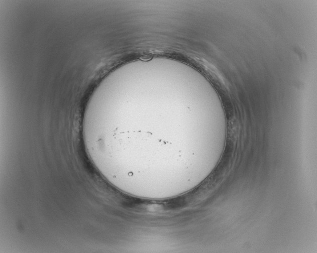 X0000115840509200911271223