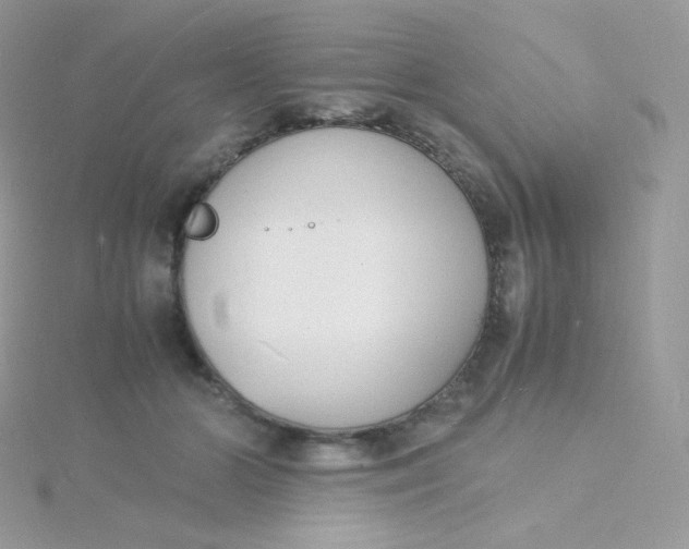 X0000115840510200911271223