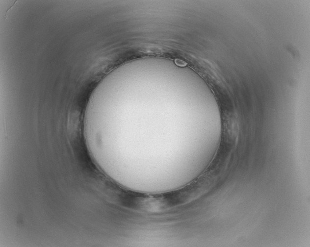 X0000115840511200911271223