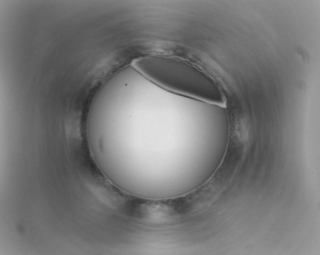 X0000115840512200911271223