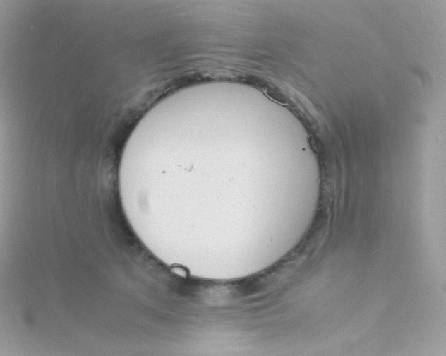 X0000115840513200911271223