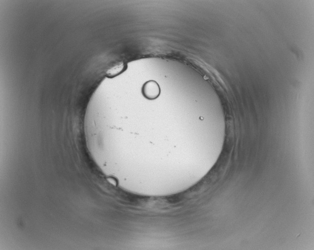 X0000115840517200911271223