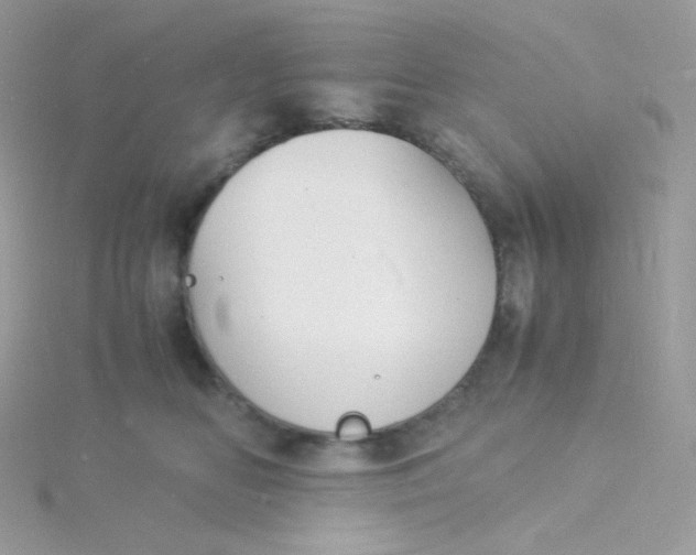 X0000115840518200911271223