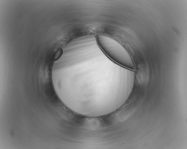 X0000115840520200911271223