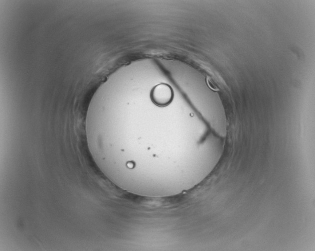 X0000115840521200911271223