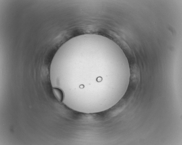 X0000115840523200911271223