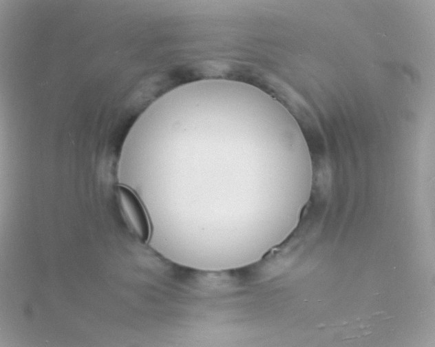 X0000115840525200911271223