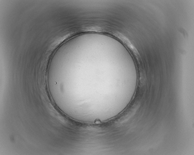 X0000115840529200911271222