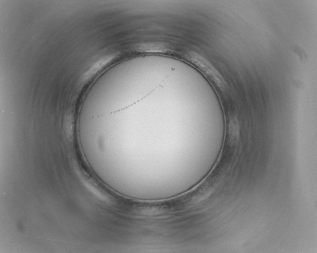 X0000115840533200911271223