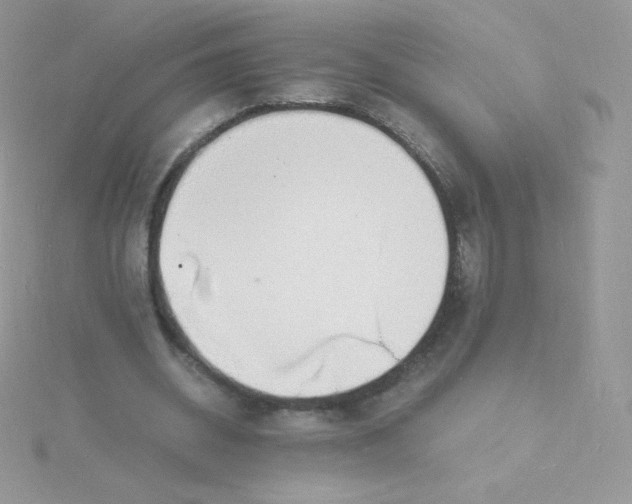 X0000115840534200911271223