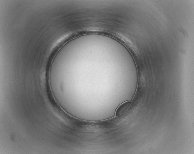 X0000115840535200911271223