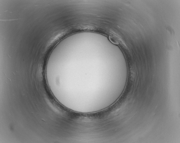 X0000115840538200911271223