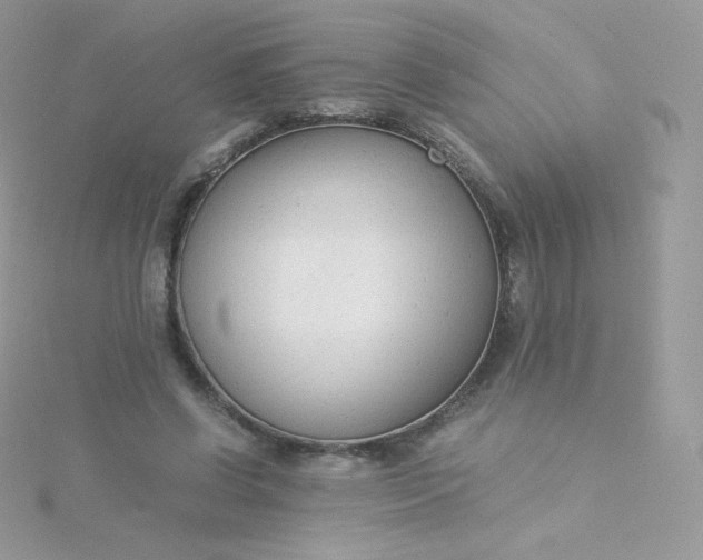 X0000115840542200911271223