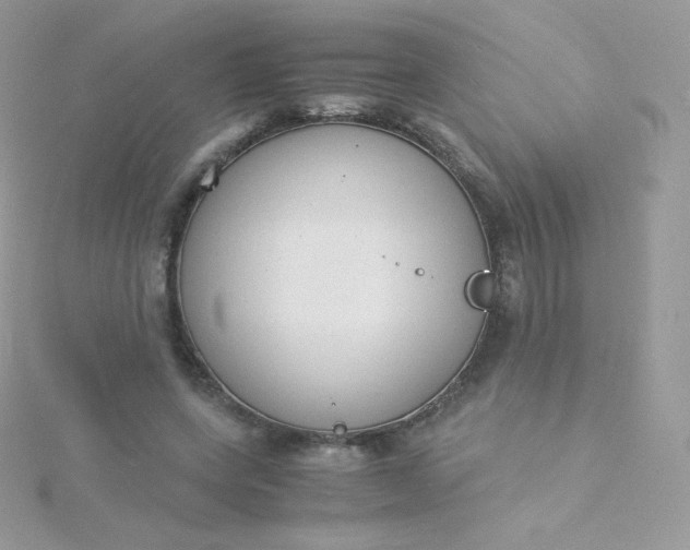 X0000115840543200911271223