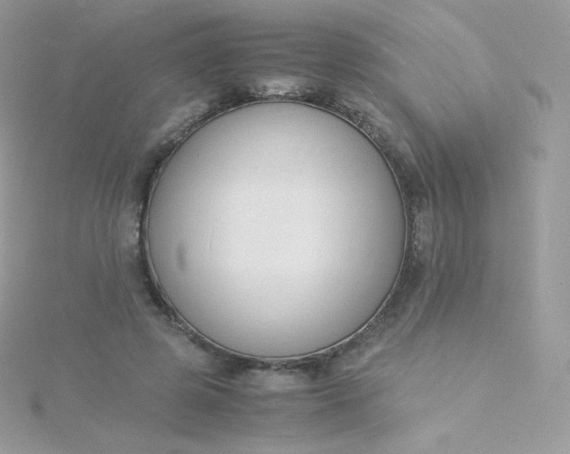 X0000115840545200911271223