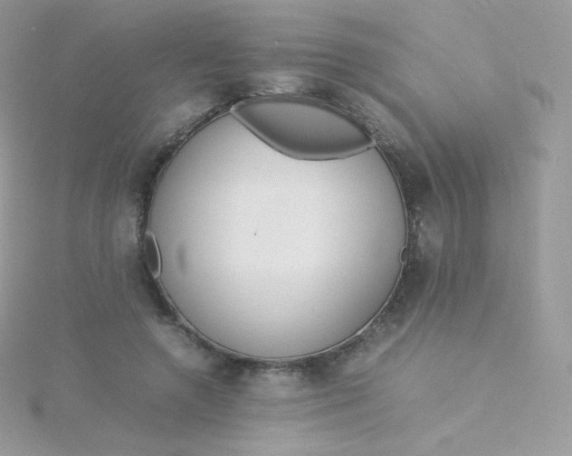 X0000115840546200911271223