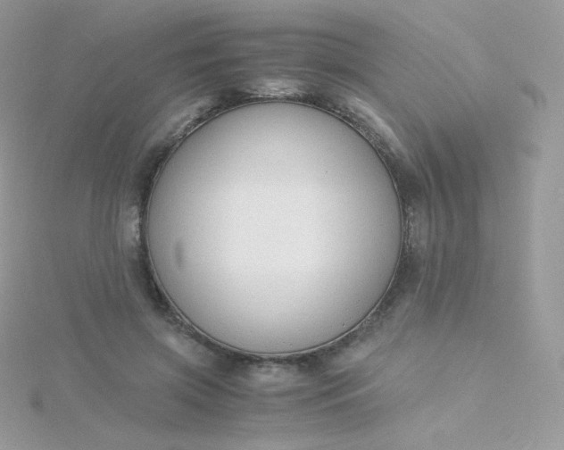 X0000115840549200911271223