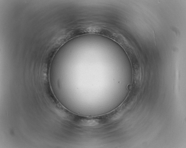 X0000115840553200911271223