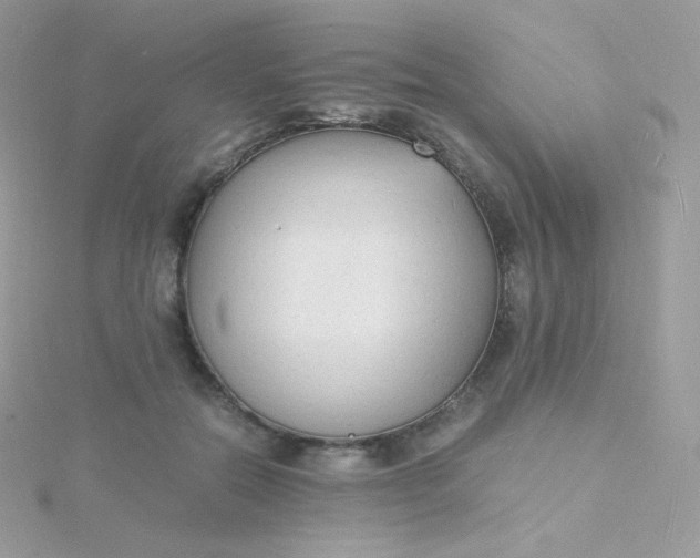 X0000115840554200911271223