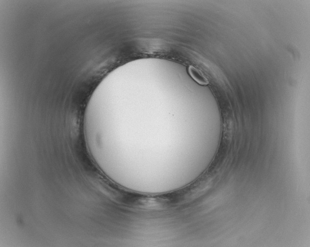 X0000115840558200911271223