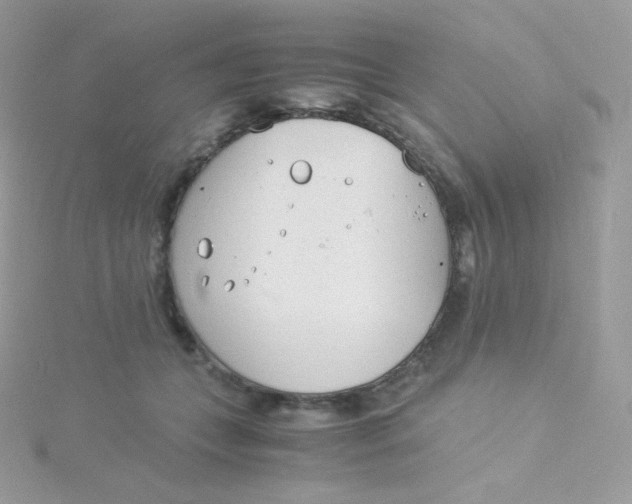 X0000115840559200911271223