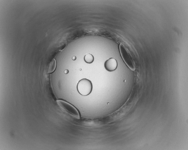 X0000115840561200911271223