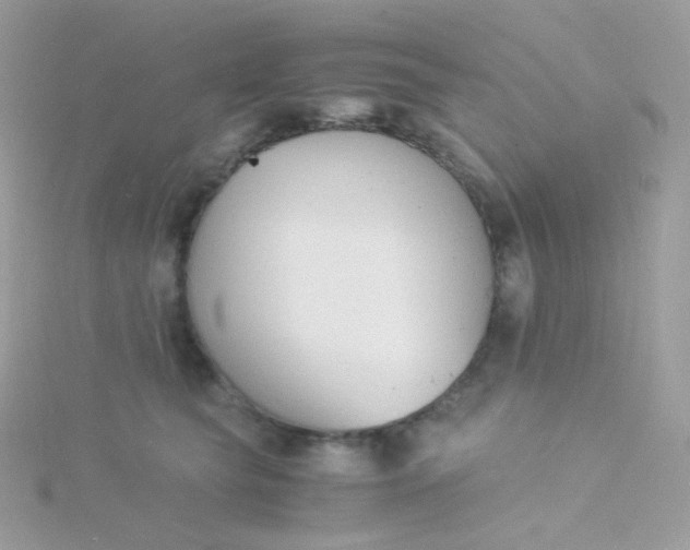 X0000115840565200911271223