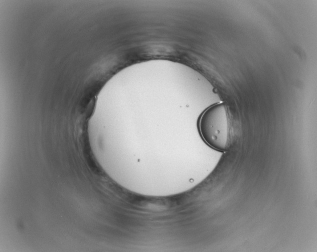 X0000115840567200911271223