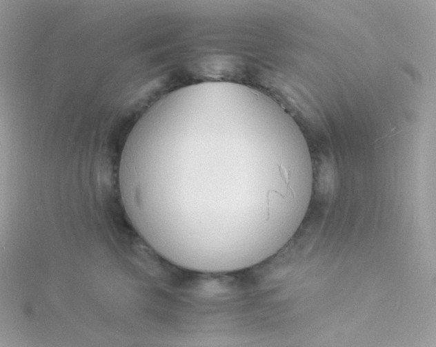 X0000115840569200911271223