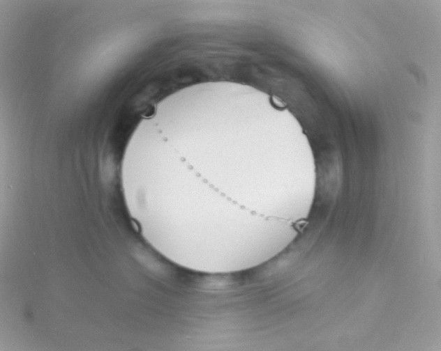 X0000115840574200911271223