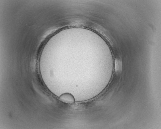 X0000115840579200911271222