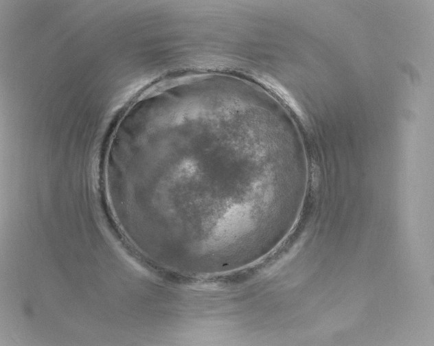 X0000115840581200911271222