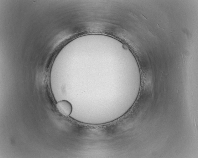 X0000115840583200911271222