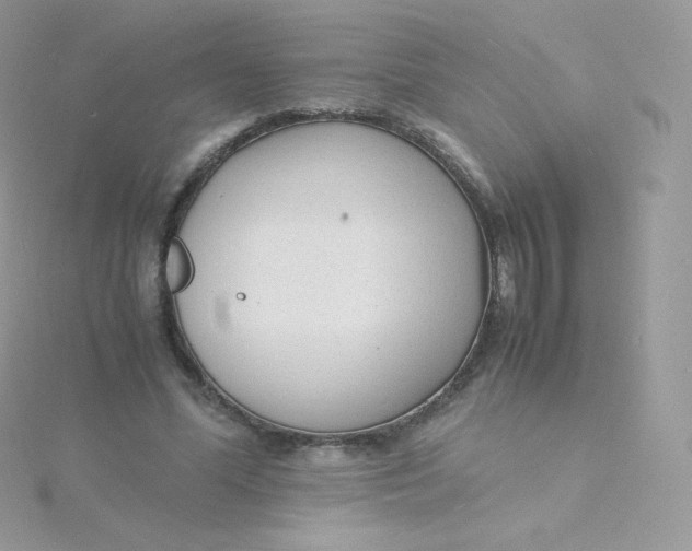 X0000115840588200911271222