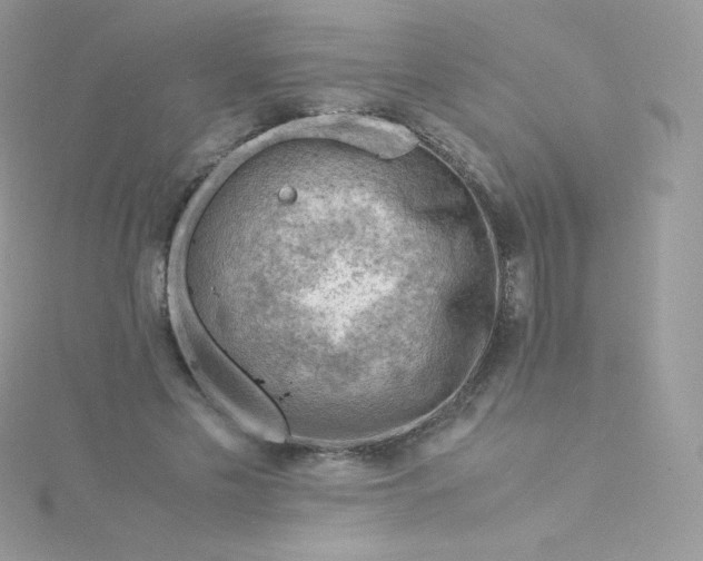 X0000115840589200911271222