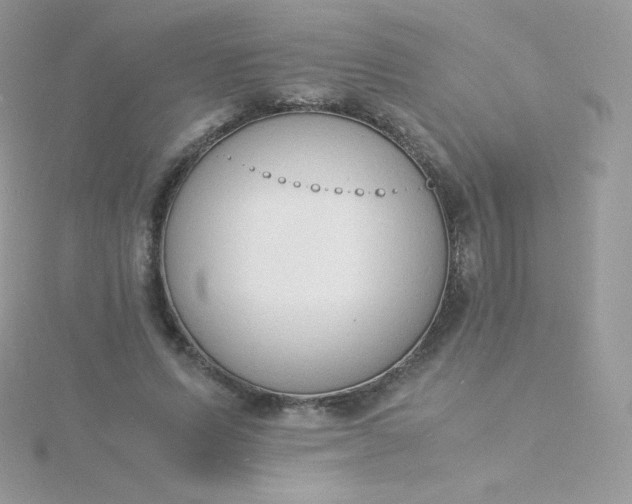 X0000115840591200911271222