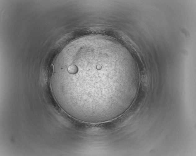 X0000115840593200911271222