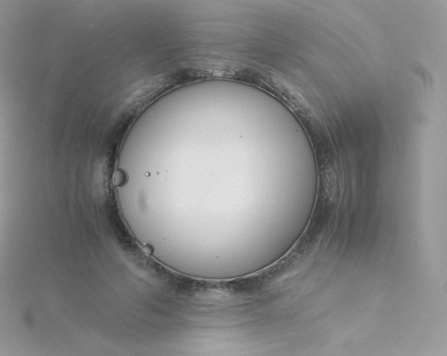 X0000115840594200911271222