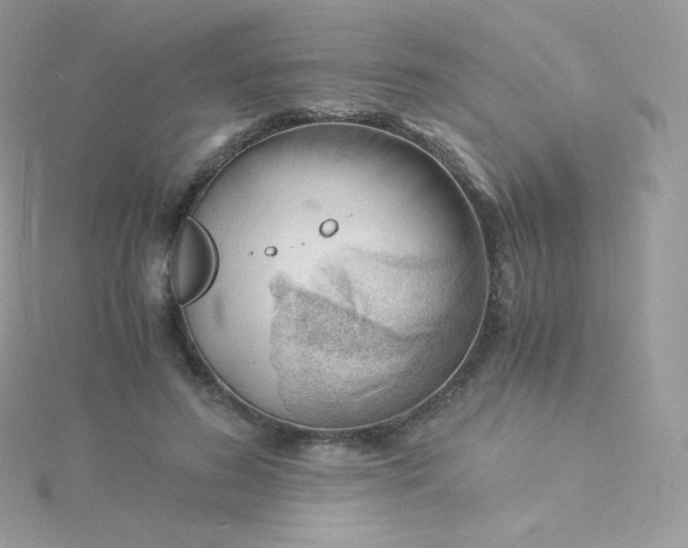 X0000115840596200911271222