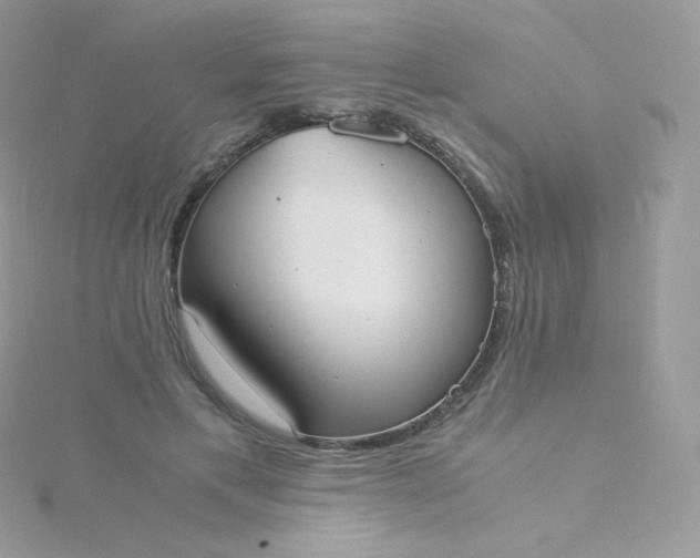 X0000115840597200911271222