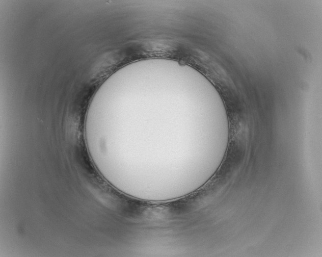 X0000115840599200911271222