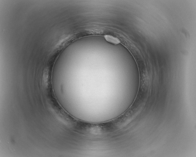 X0000115840600200911271222