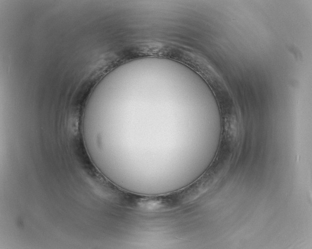 X0000115840602200911271222