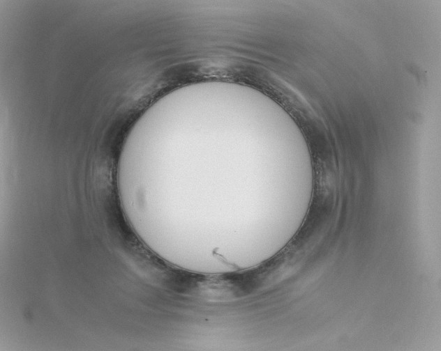 X0000115840603200911271222