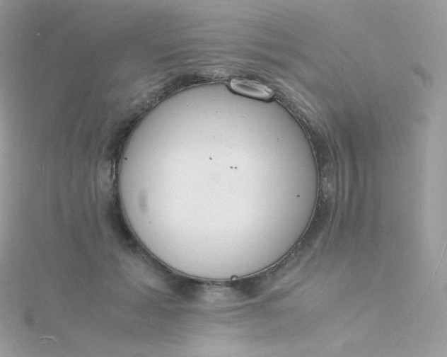 X0000115840605200911271222