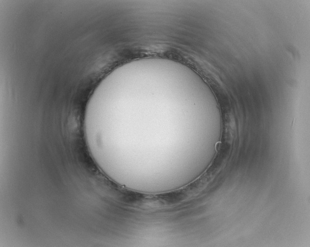 X0000115840608200911271222