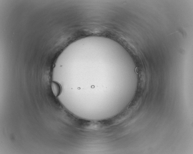 X0000115840612200911271222