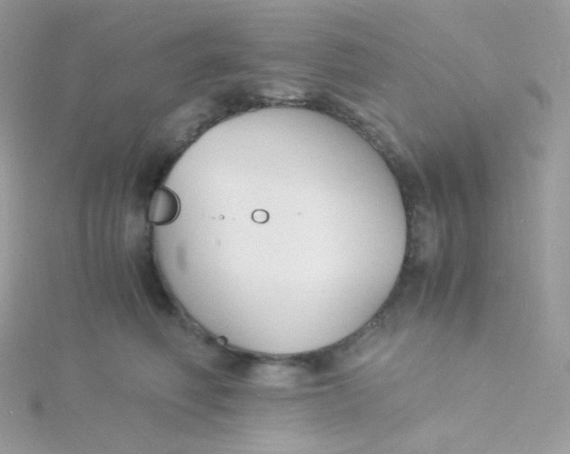 X0000115840614200911271222