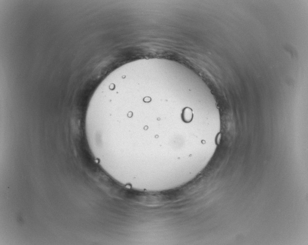 X0000115840615200911271222