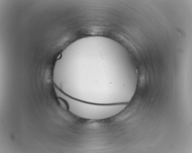 X0000115840620200911271222